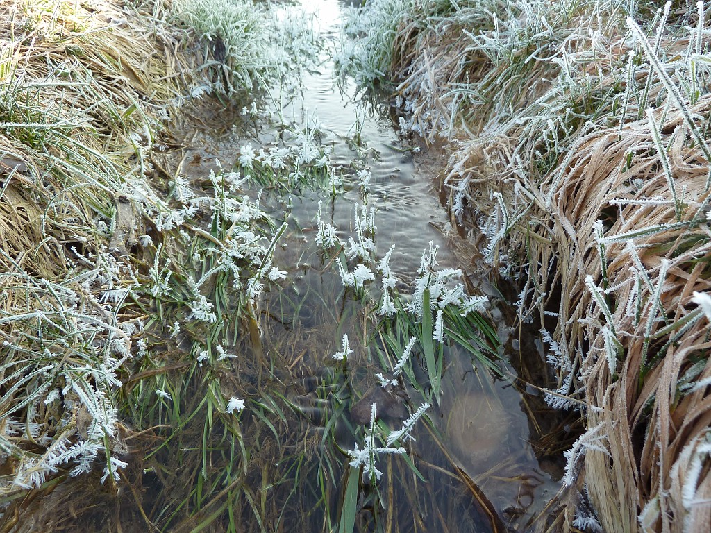 P1020607.JPG - Water & Ice