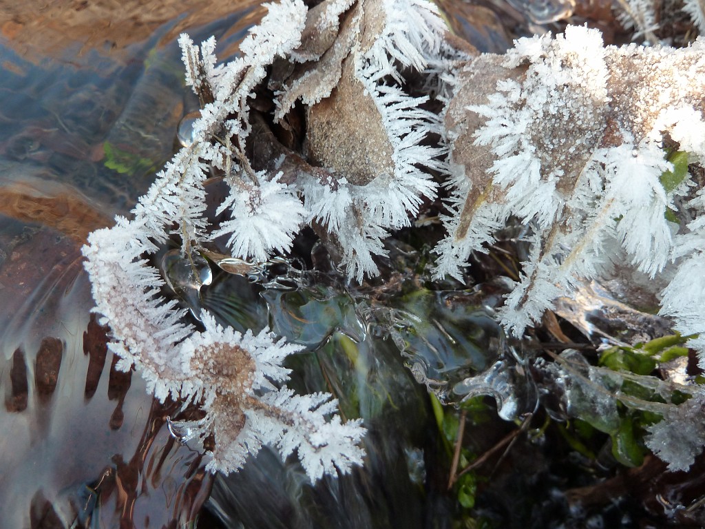 P1020611.JPG - Water & Ice