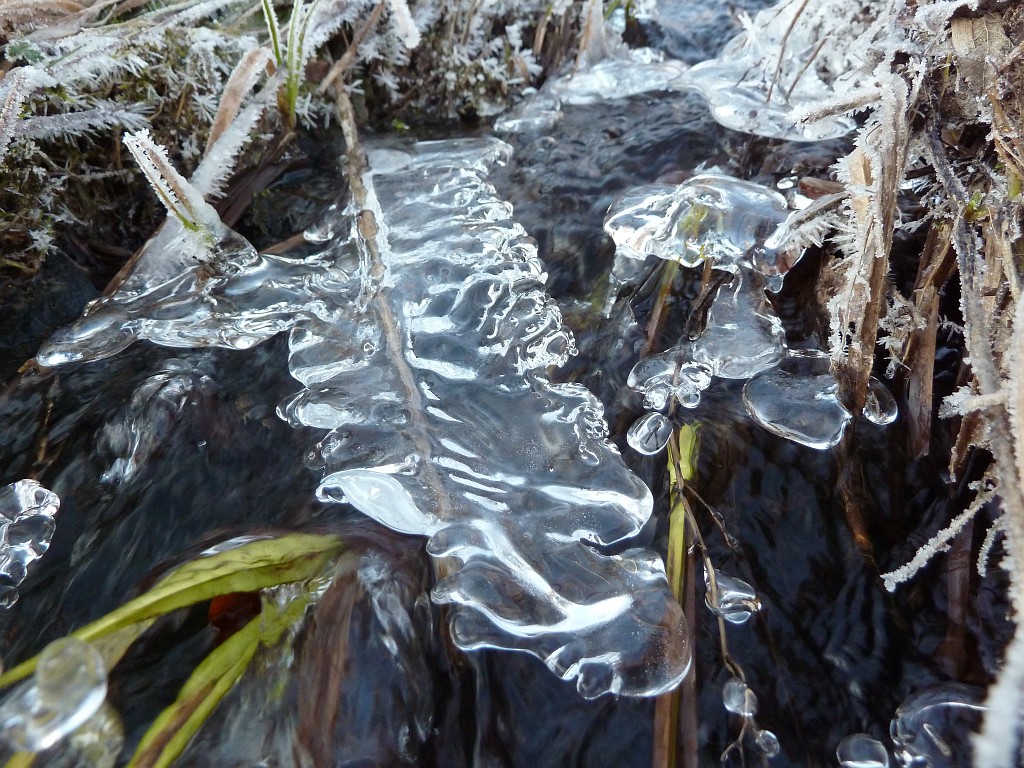 P1020623.JPG - Water & Ice