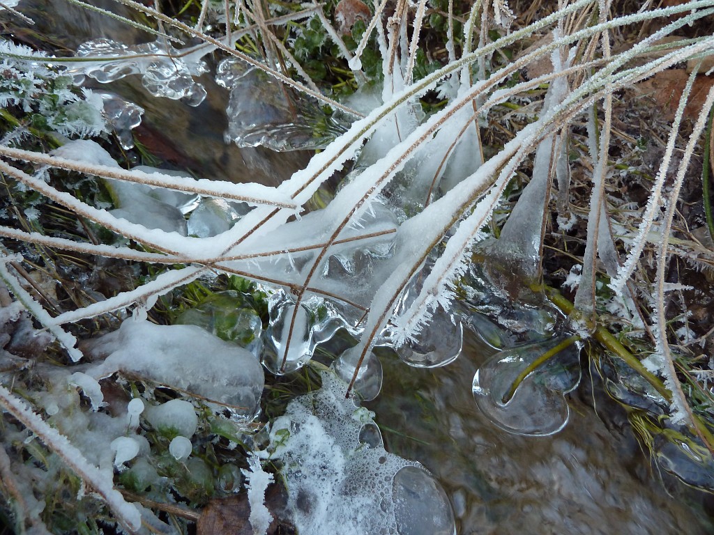 P1020627.JPG - Water & Ice