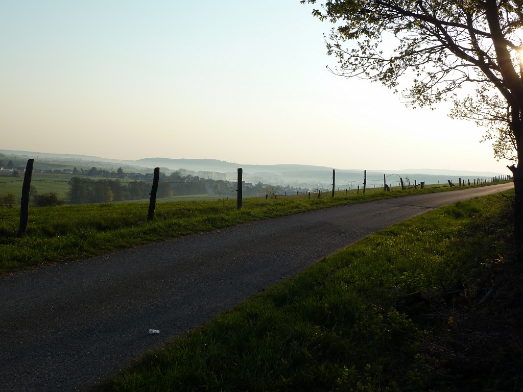 P1030047.JPG - Grassland in the morning