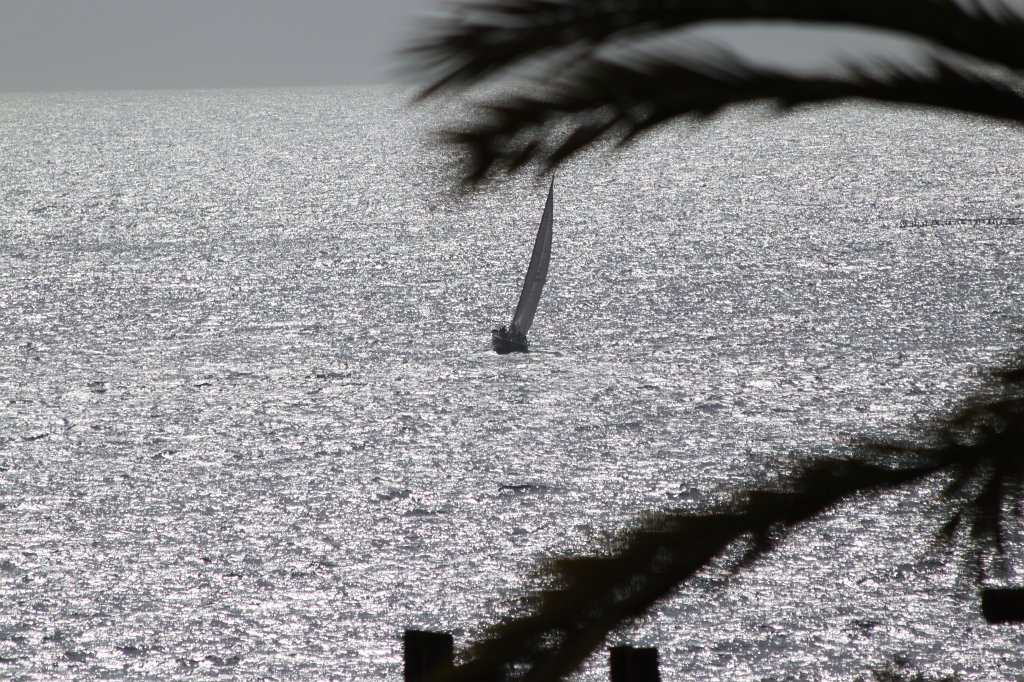 IMG_3627.JPG - Sea fun