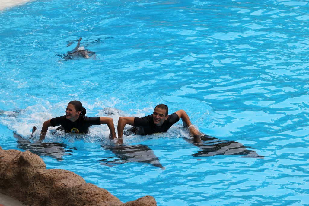 IMG_3704.JPG - Loro Parque  http://en.wikipedia.org/wiki/Loro_Parque  Dolphin show