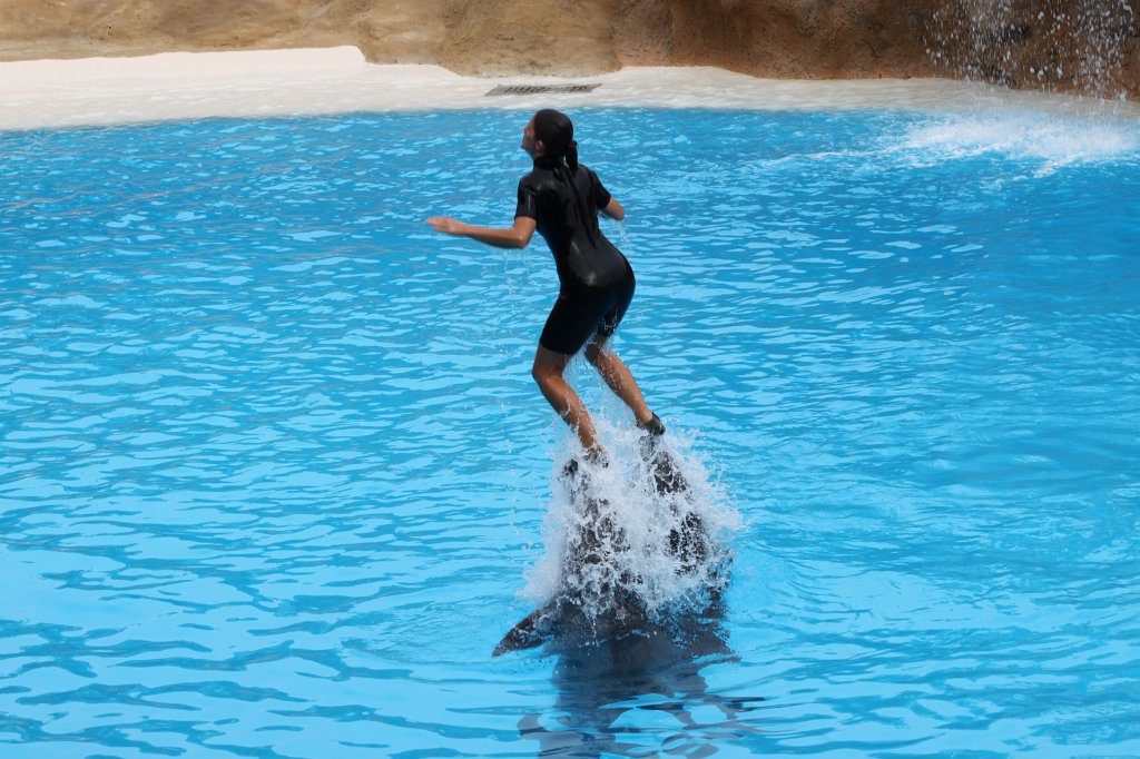 IMG_3728.JPG - Loro Parque  http://en.wikipedia.org/wiki/Loro_Parque  Dolphin show