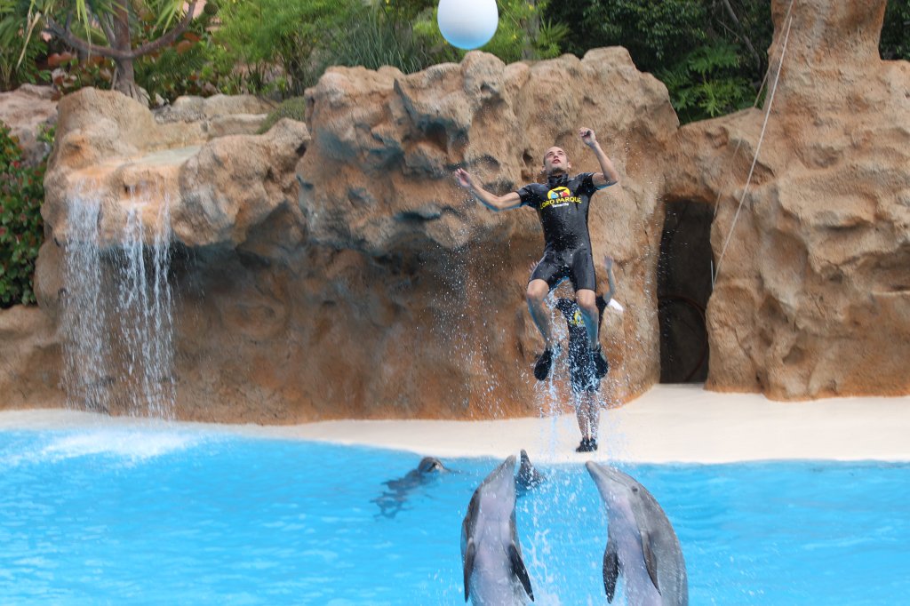 IMG_3784.JPG - Loro Parque  http://en.wikipedia.org/wiki/Loro_Parque  Dolphin show