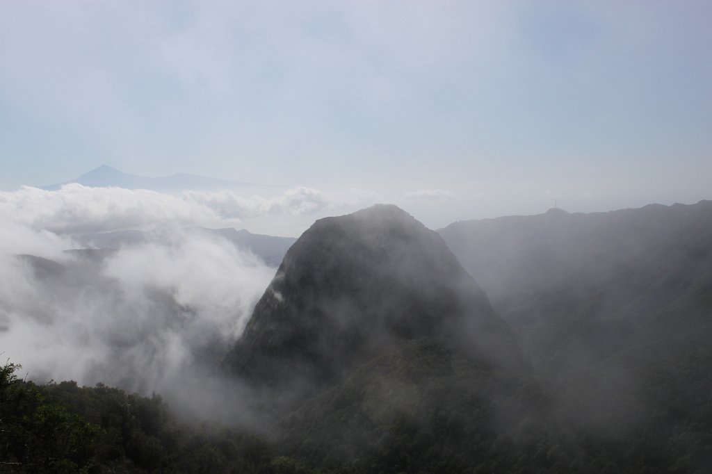 IMG_4689.JPG - Rainforest climbing up the rocks
