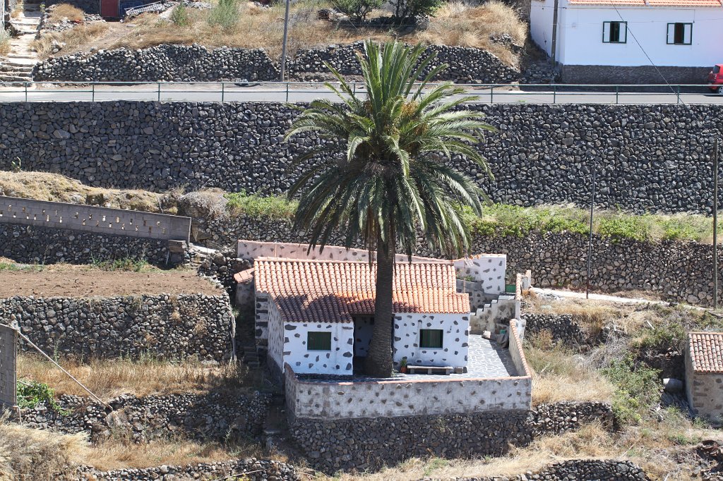 IMG_4799.JPG - White house under palm tree