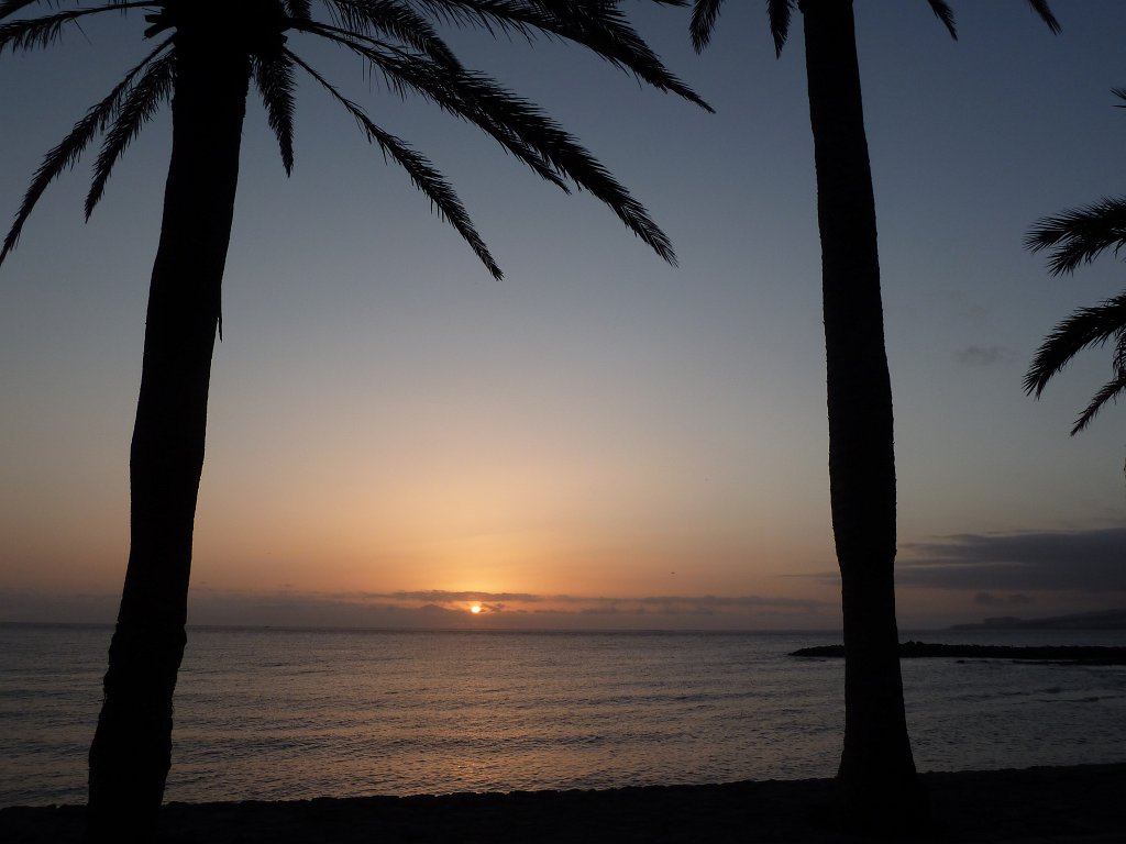 P1030888.JPG - Playa de las Américas  http://en.wikipedia.org/wiki/Playa_de_las_Am%C3%A9ricas  enjoying sunset