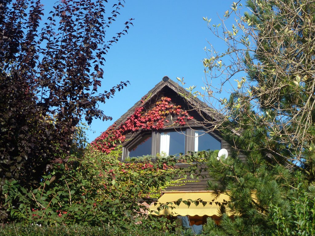 P1050072.JPG - Nature house