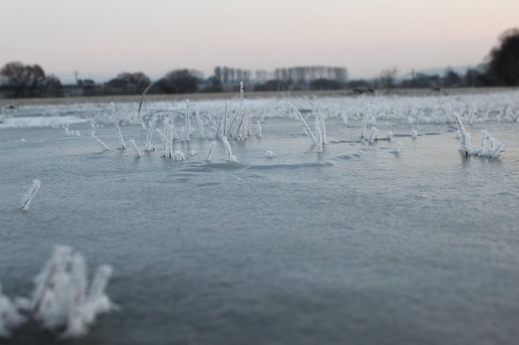 IMG_6727.JPG - Icy landscape