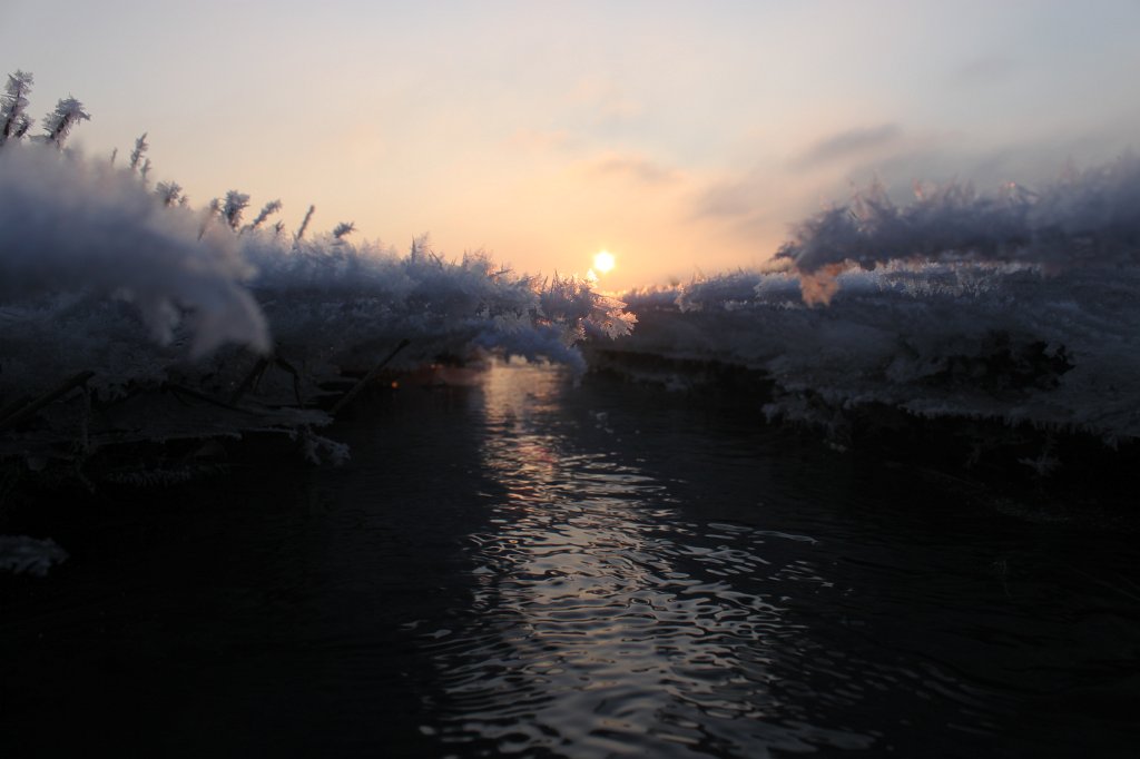 IMG_6752.JPG - Ice reaching over stream