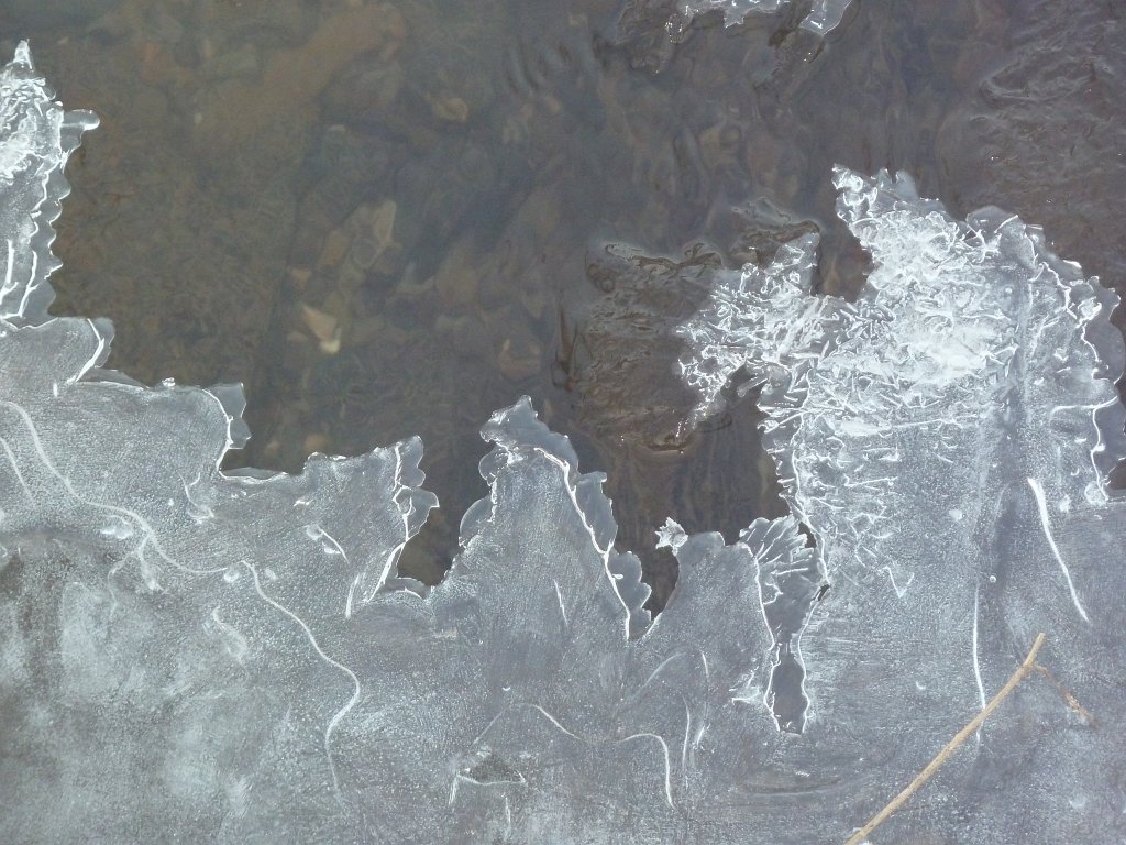 P1060032.JPG - Growing ice