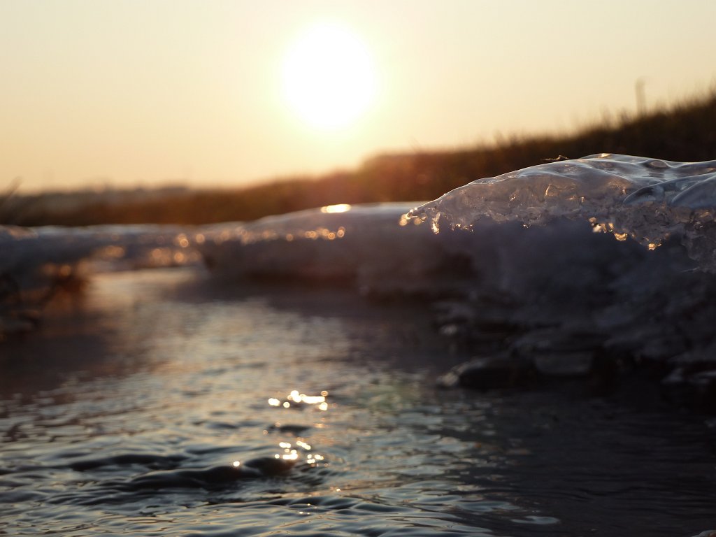 P1060040.JPG - Stream & Ice in the early morning