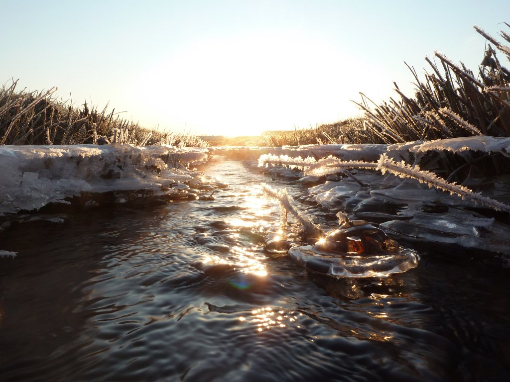 P1060080.JPG - Stream & Ice in the early morning