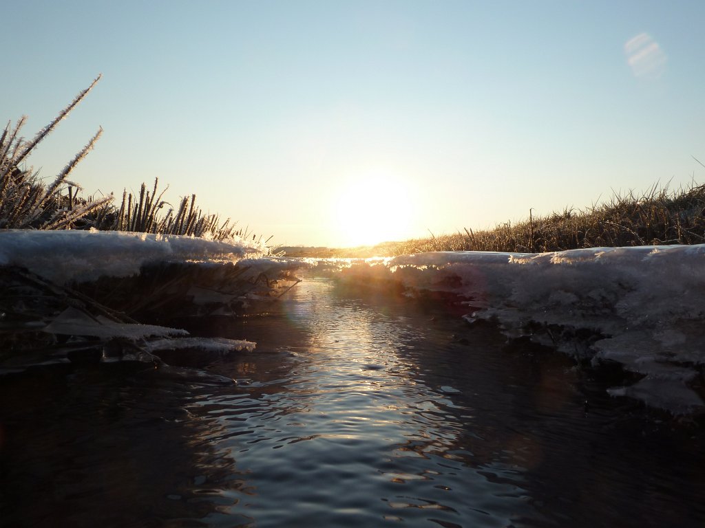 P1060082.JPG - Stream & Ice in the early morning