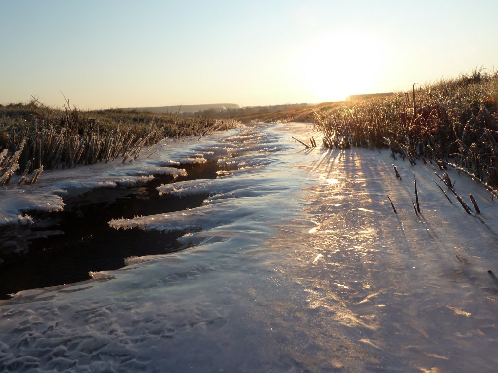 P1060083.JPG - Stream & Ice in the early morning