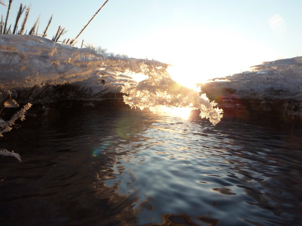 P1060085.JPG - Ice pattern