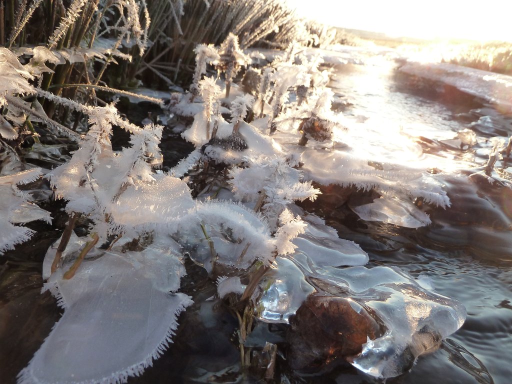 P1060098.JPG - Ice sculptures on the stream banks