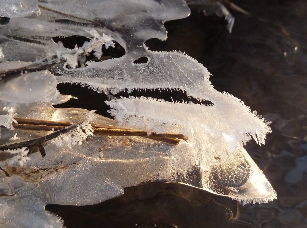 P1060103.JPG - Ice sculptures on the stream banks