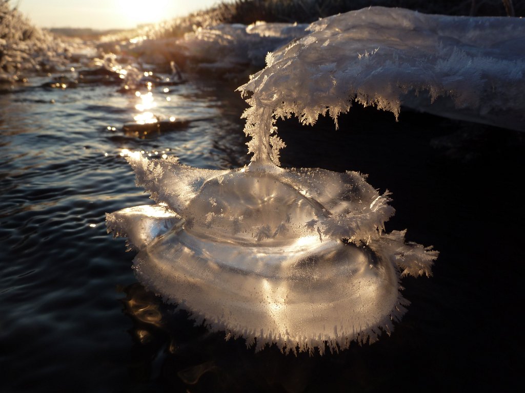 P1060104.JPG - Ice sculptures on the stream