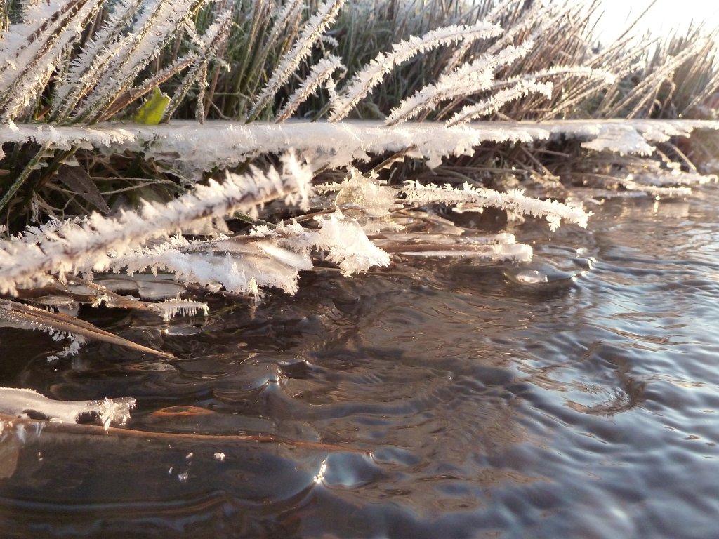 P1060105.JPG - Icy bank