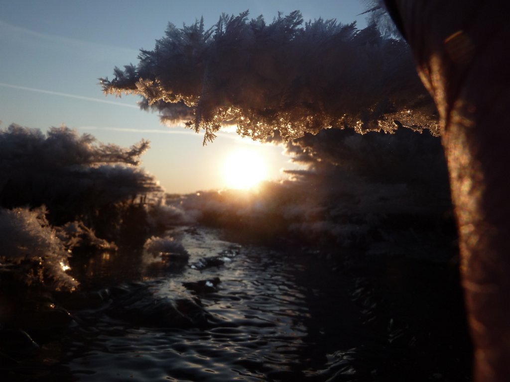 P1060140.JPG - Ice pattern in the sun