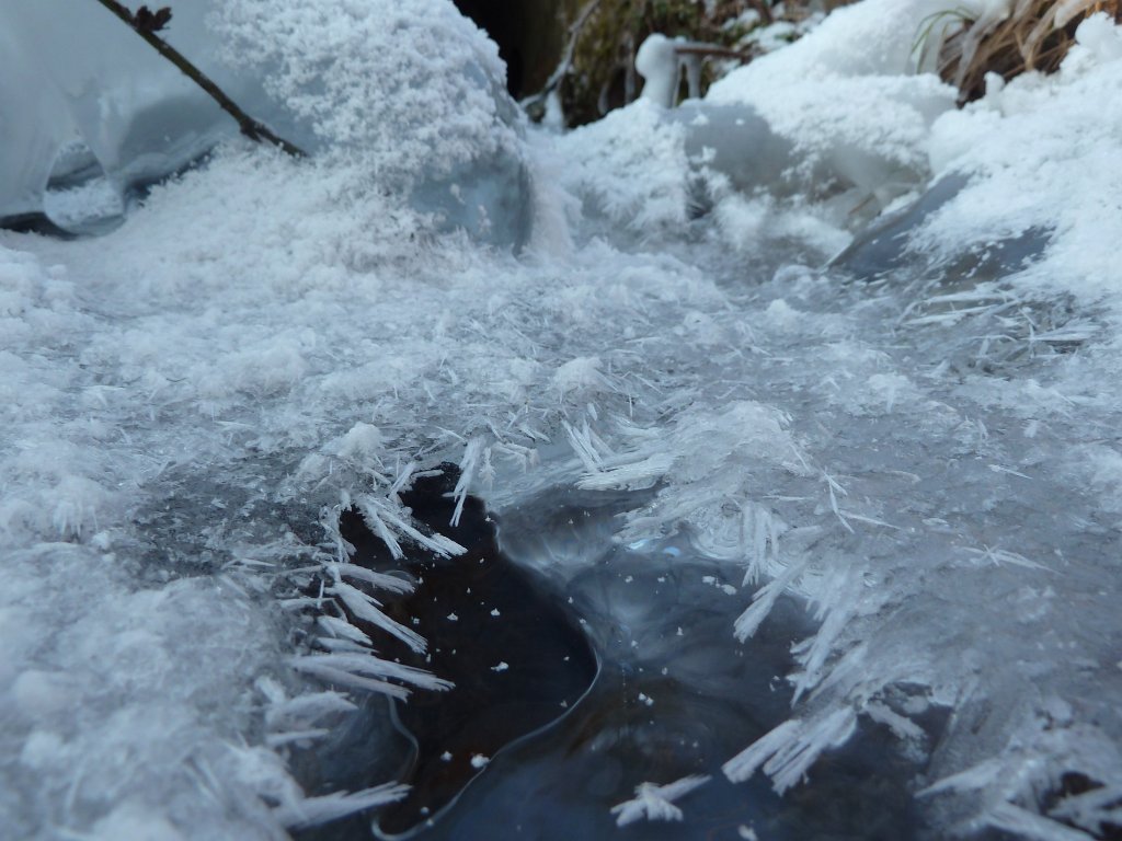 P1060195.JPG - Ice sculptures