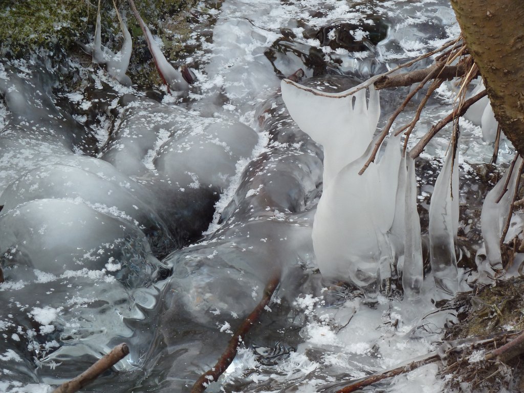 P1060219.JPG - Ice sculptures