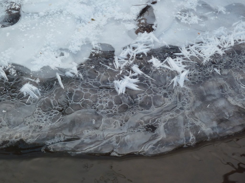 P1060224.JPG - Icy variants