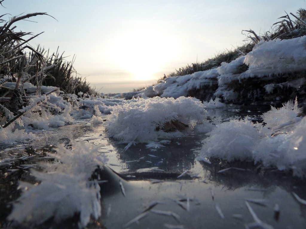 P1060235.JPG - Frozen stream