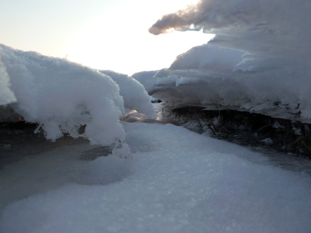 P1060271.JPG - Icy landscape