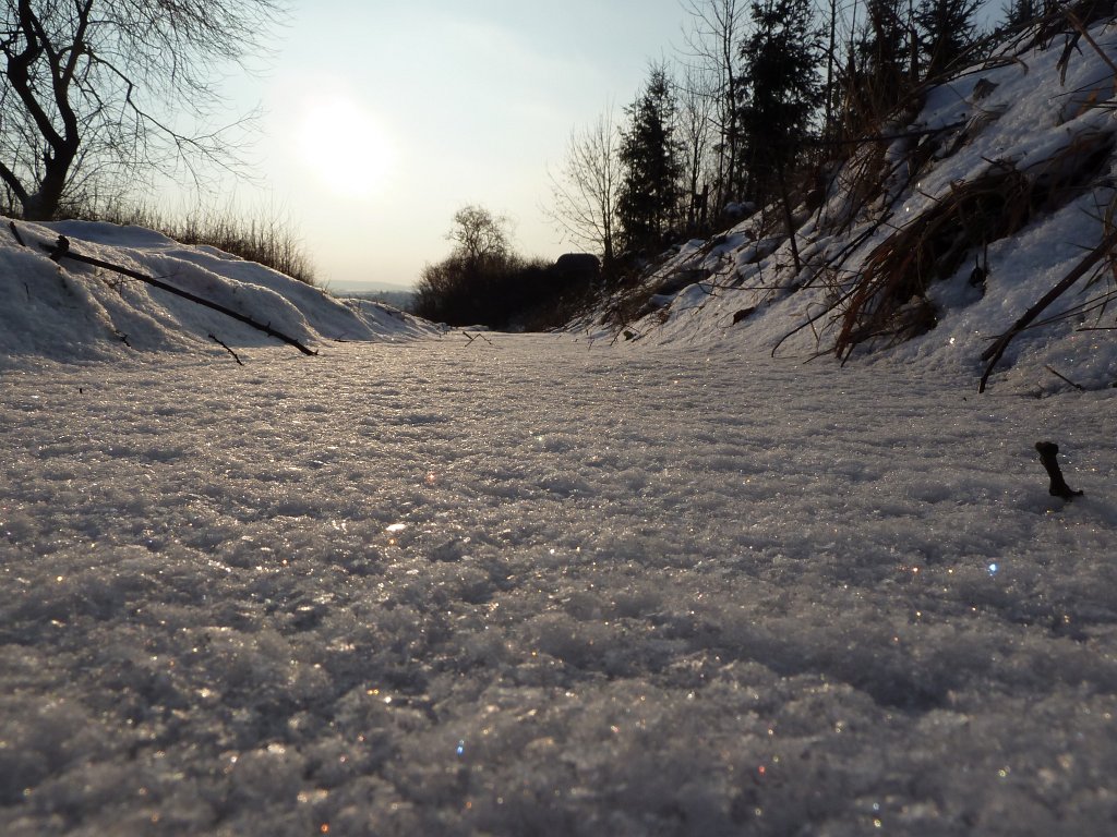 P1060291.JPG - Frozen puddle