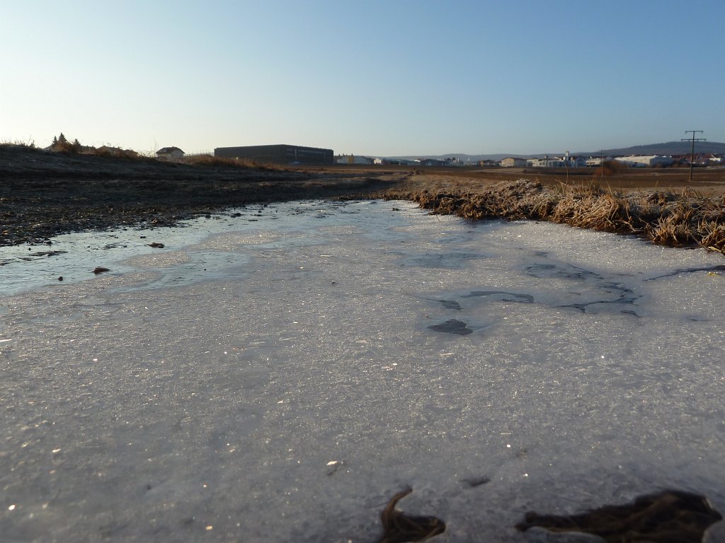 P1060366.JPG - Frozen puddle