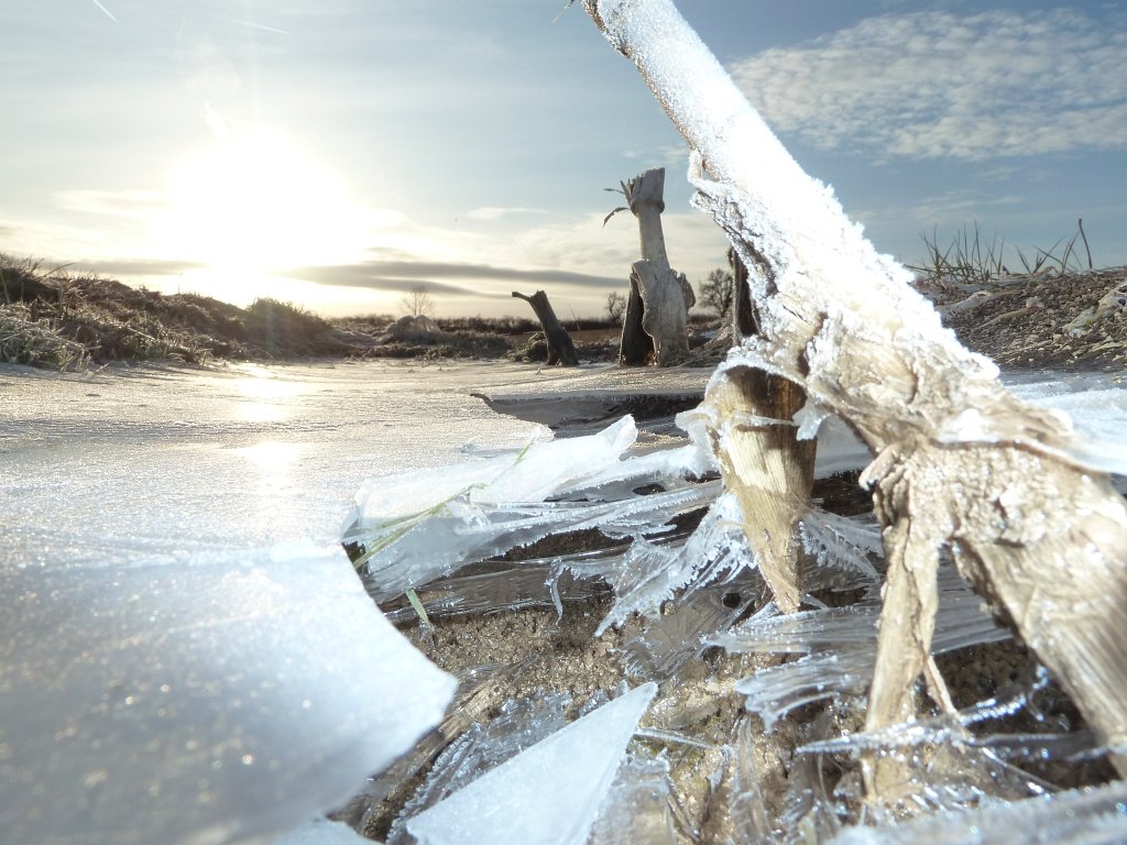 P1060412.JPG - Numbed nature