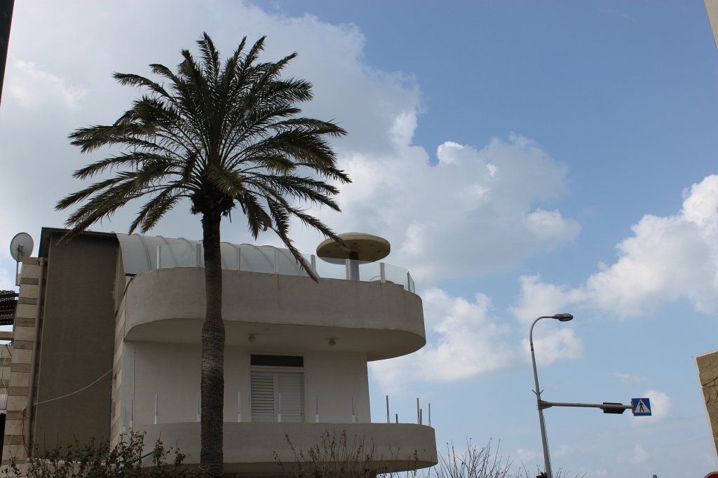 IMG_6969.JPG - Palm and balcony