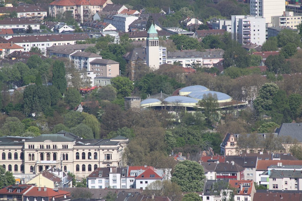 IMG_7709.JPG - Zoo mit Borgori-Wald  http://de.wikipedia.org/wiki/Zoo_Frankfurt 