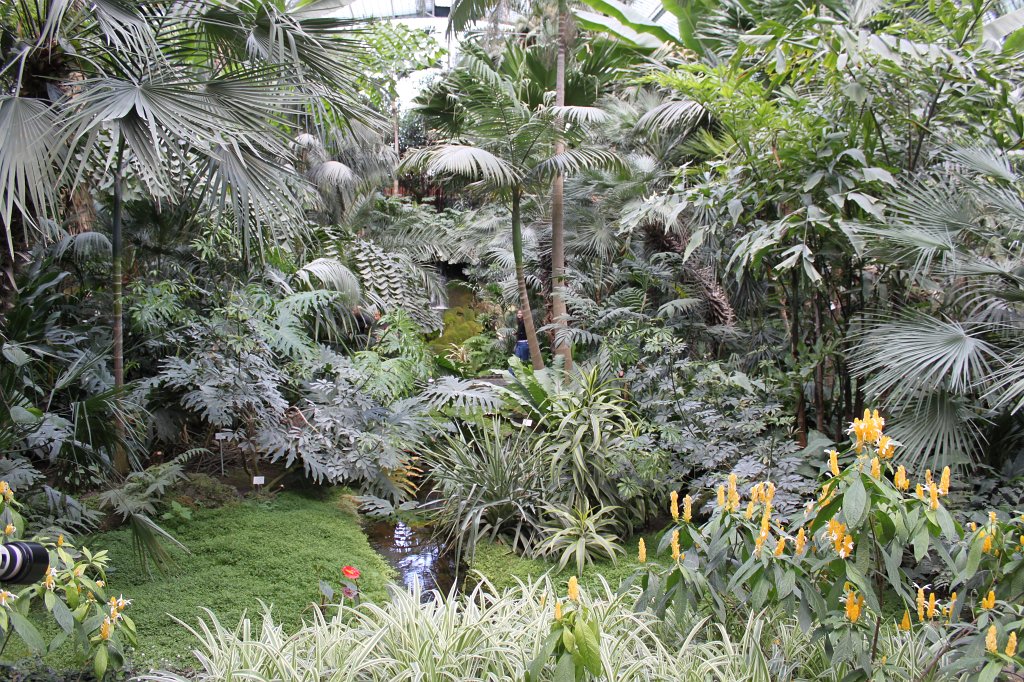IMG_8077.JPG - Palmenhaus
