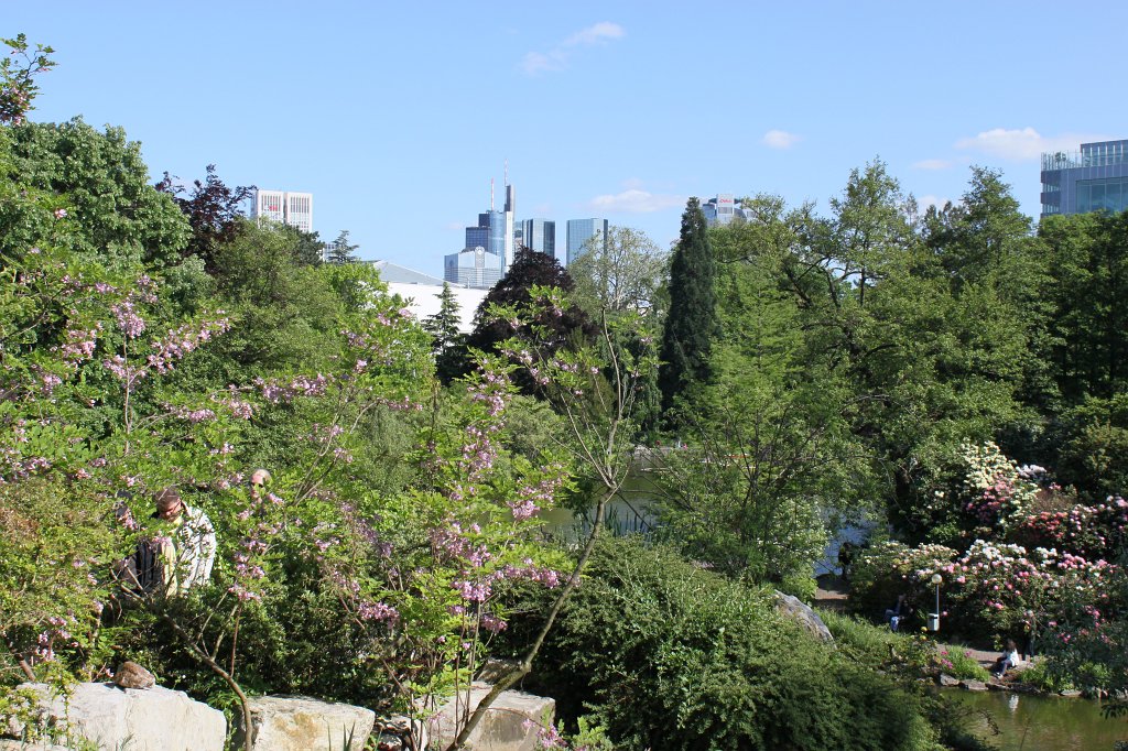 IMG_8232.JPG - Palmengarten  http://en.wikipedia.org/wiki/Palmengarten 