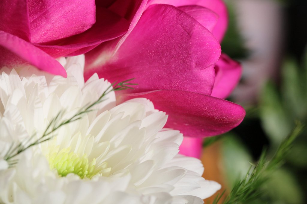 IMG_8275.JPG - BlumenstrauÃ