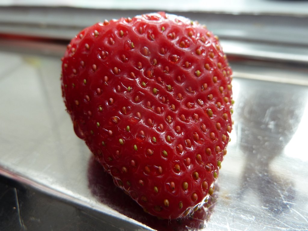 P1060950.JPG - Strawberry  http://en.wikipedia.org/wiki/Fragaria 