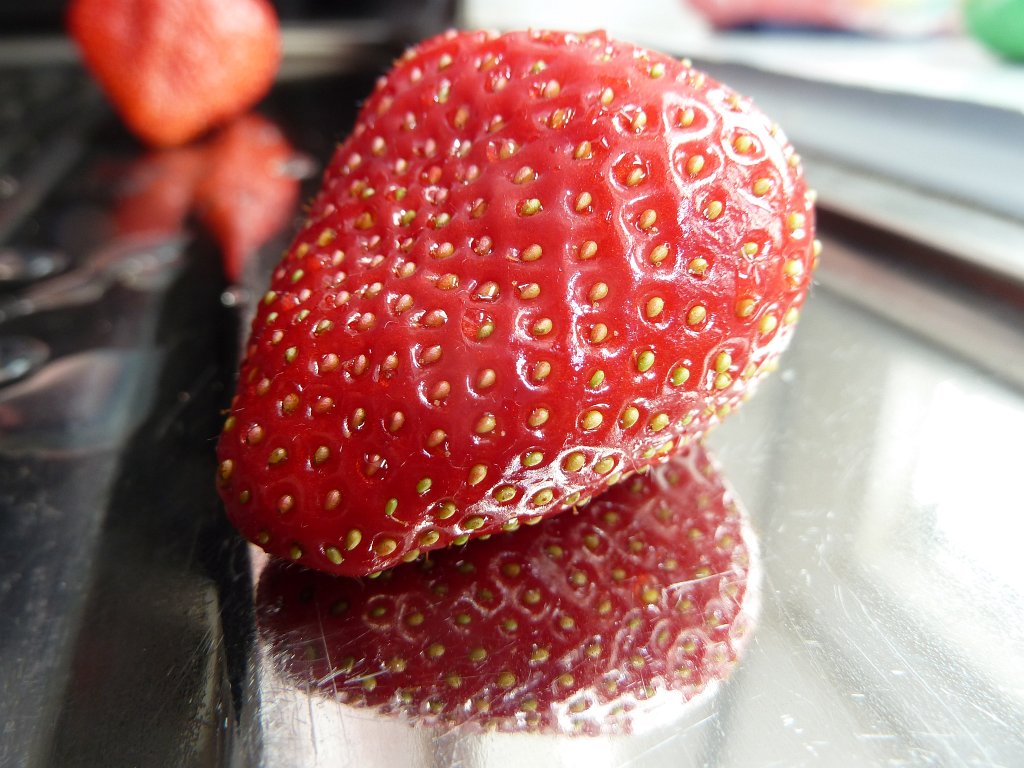 P1060951.JPG - Strawberry  http://en.wikipedia.org/wiki/Fragaria 