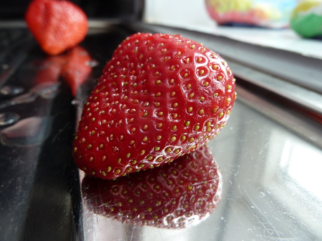 P1060953.JPG - Strawberry  http://en.wikipedia.org/wiki/Fragaria 