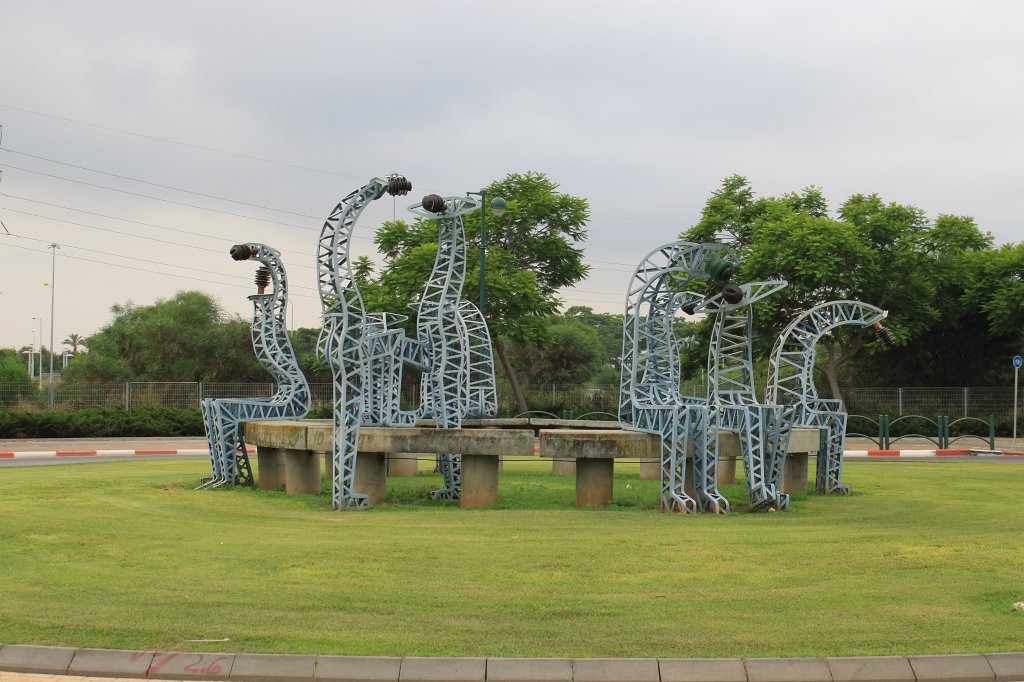 IMG_8761.JPG - Giraffe herd