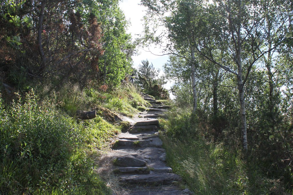 IMG_0354.JPG - Path to top of hill