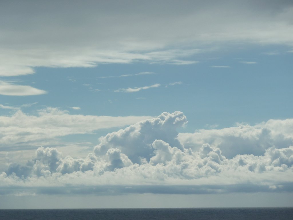 P1070739.JPG - Hippopotamus  http://en.wikipedia.org/wiki/Hippopotamus 