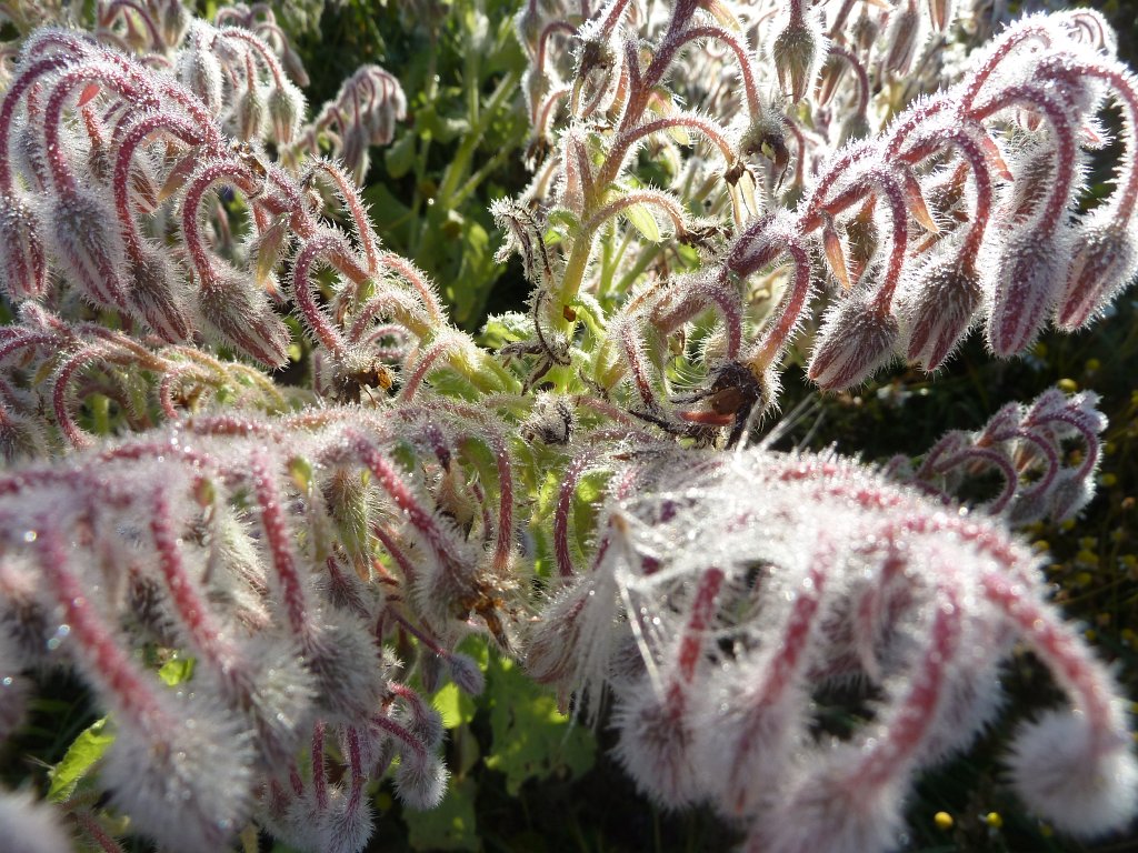 P1080802.JPG - Sunlight after cold night