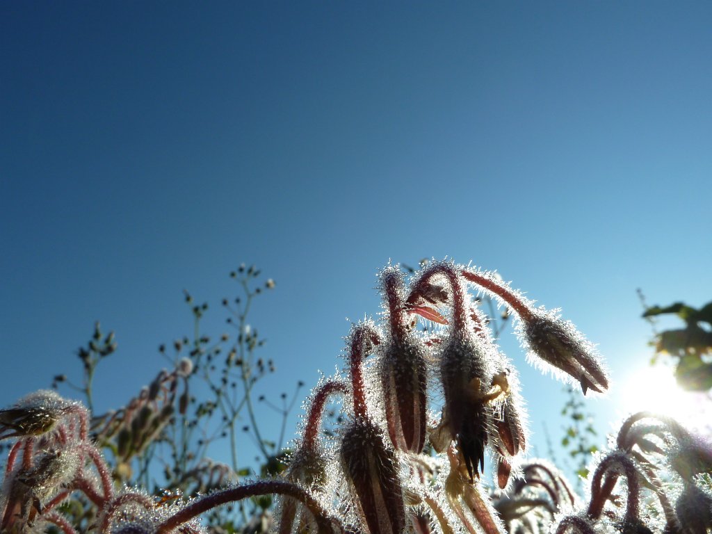 P1080803.JPG - Sunlight after cold night