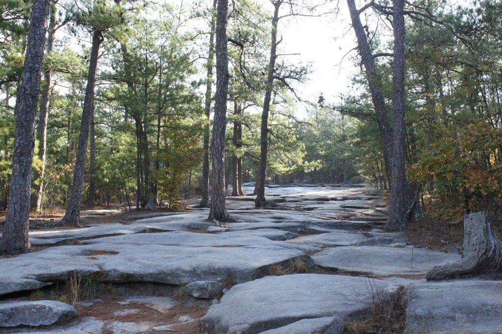 IMG_1716.JPG - Walking up the stone mountain  http://en.wikipedia.org/wiki/Stone_Mountain 