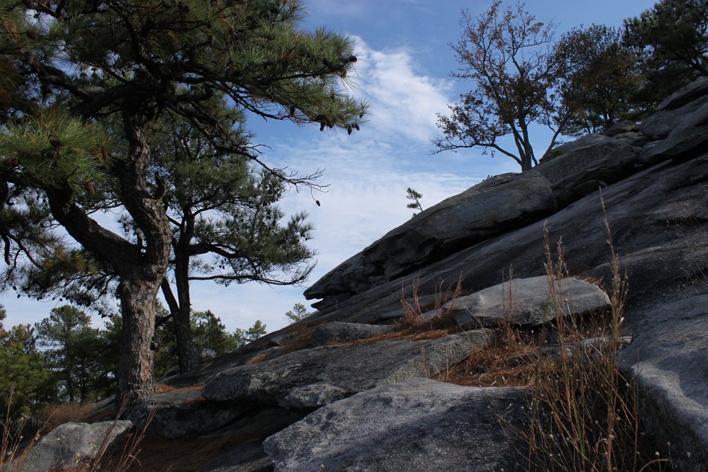 IMG_1764.JPG - Trees climbing up Stone Mountain  http://en.wikipedia.org/wiki/Stone_Mountain 
