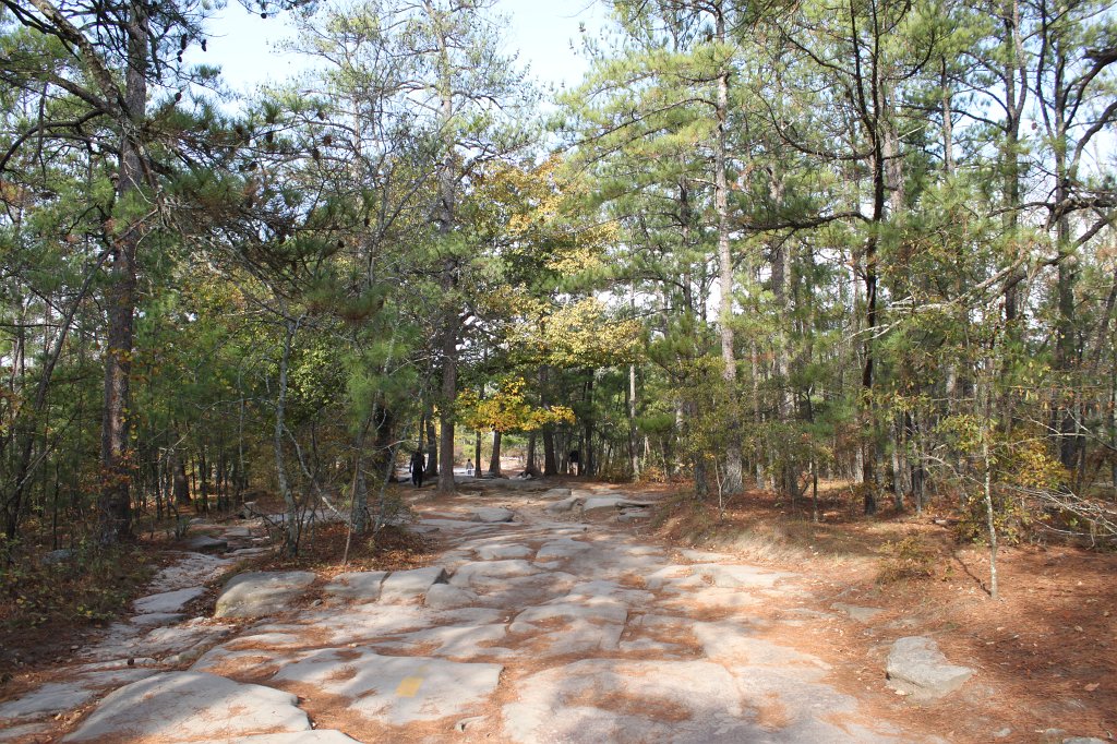 IMG_1771.JPG - Stone Mountain walk-up trail  http://en.wikipedia.org/wiki/Stone_Mountain 